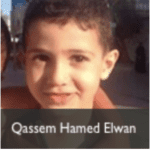qassem hamed elwan