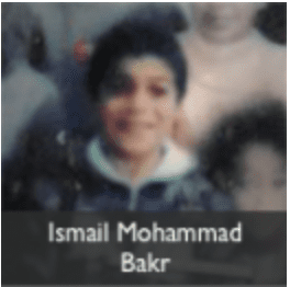 ismail mohammad bakr